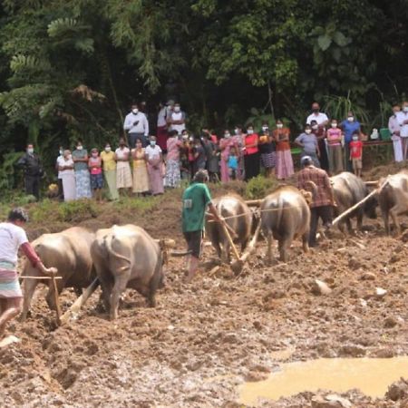 Spiritual Nature Farm - Sri Lanka Matale Εξωτερικό φωτογραφία