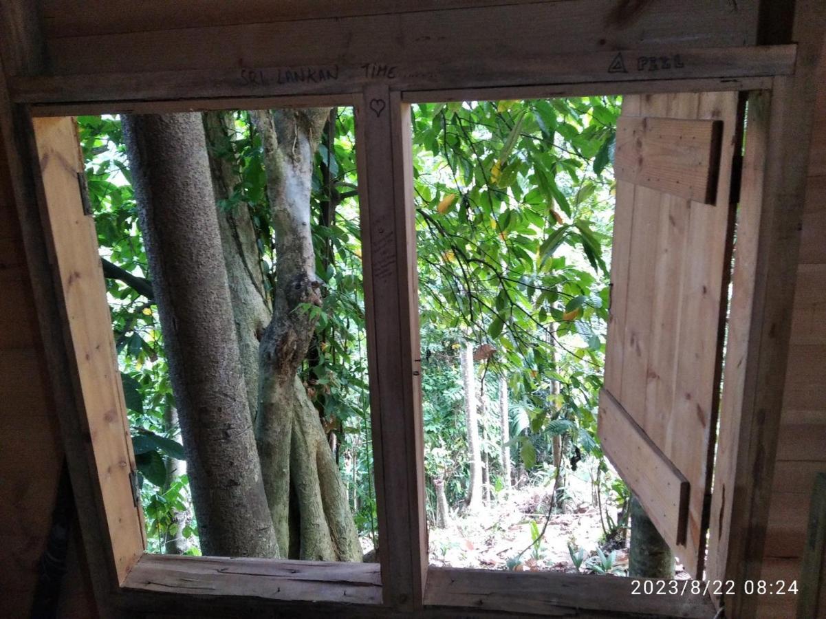Spiritual Nature Farm - Sri Lanka Matale Εξωτερικό φωτογραφία
