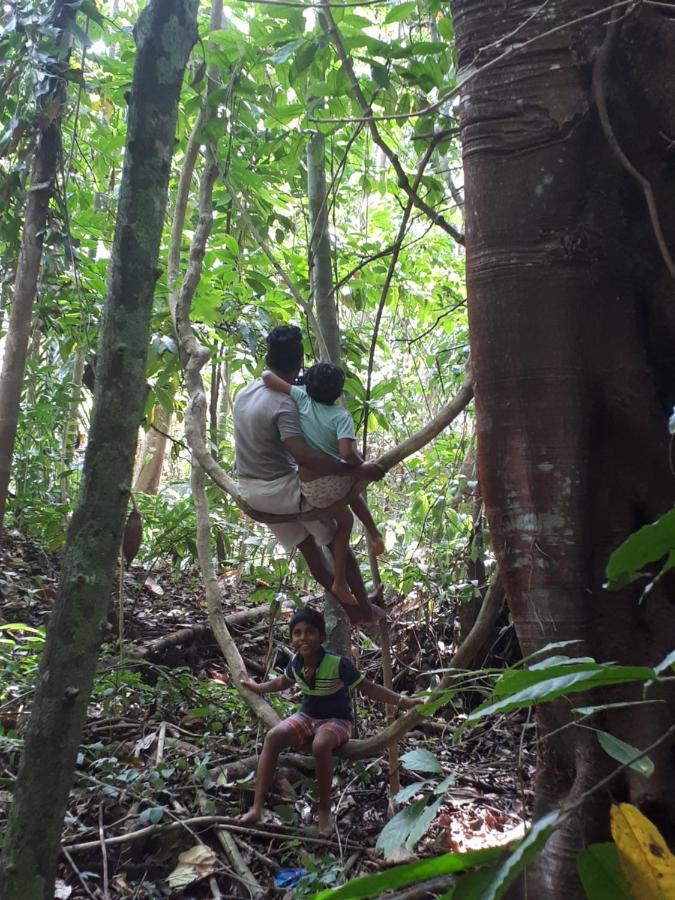 Spiritual Nature Farm - Sri Lanka Matale Εξωτερικό φωτογραφία