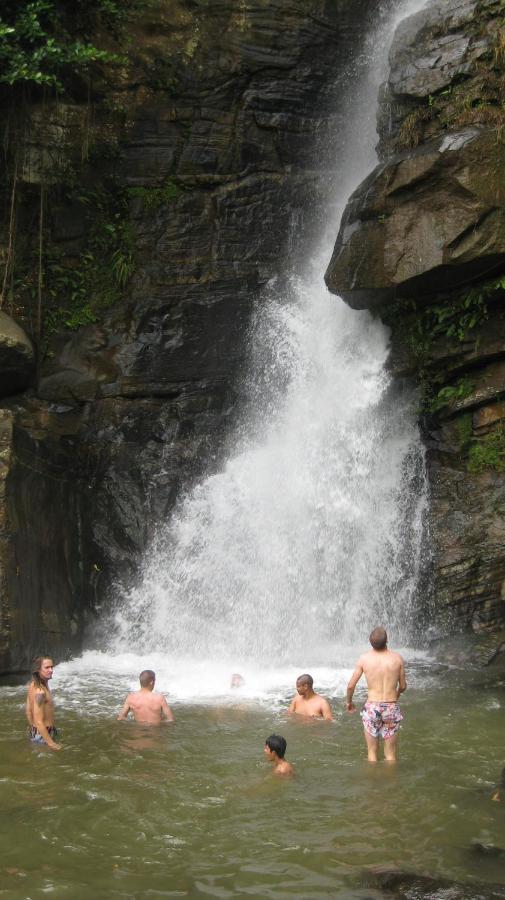 Spiritual Nature Farm - Sri Lanka Matale Εξωτερικό φωτογραφία