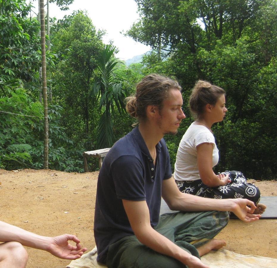Spiritual Nature Farm - Sri Lanka Matale Εξωτερικό φωτογραφία