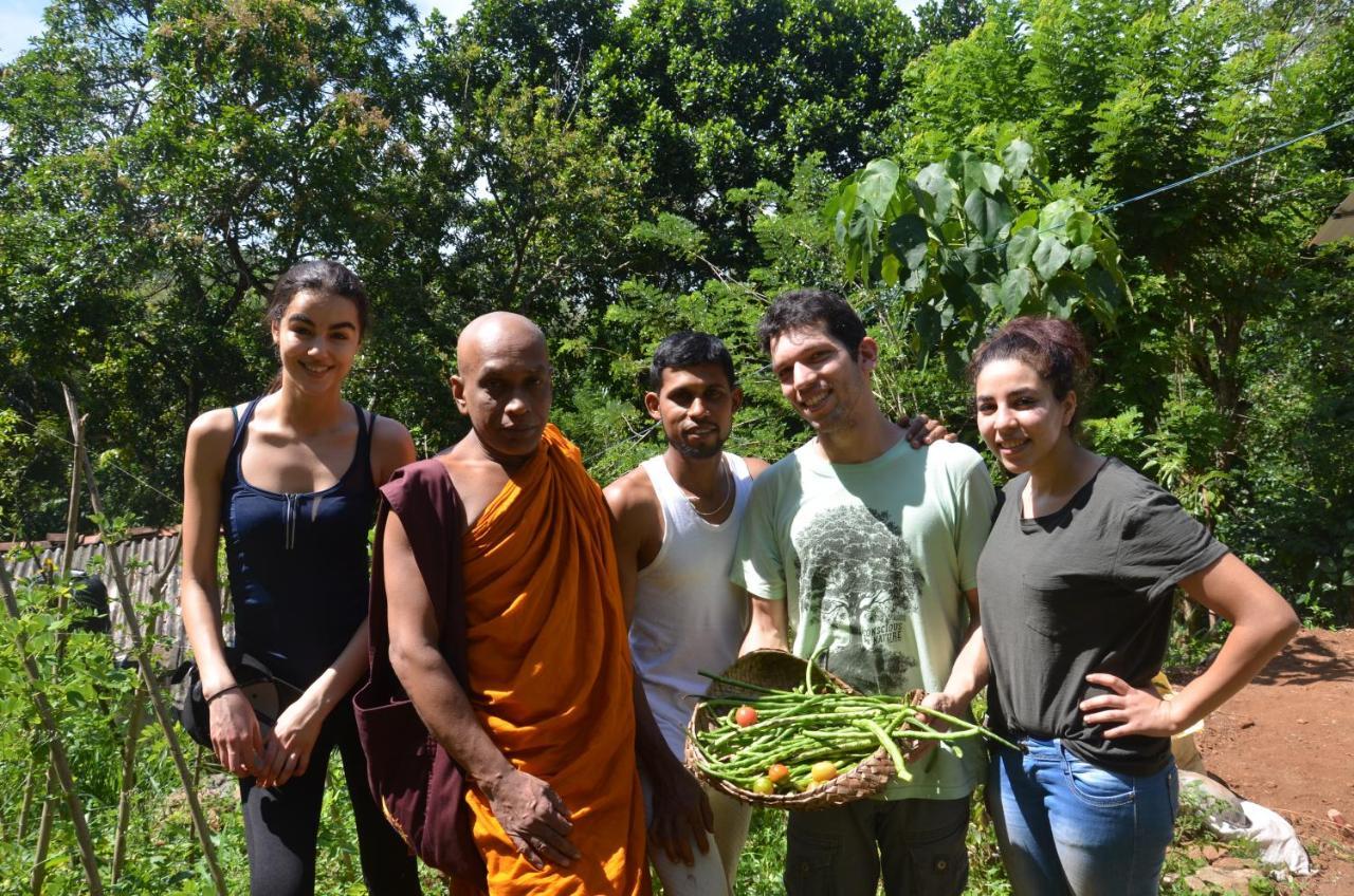 Spiritual Nature Farm - Sri Lanka Matale Εξωτερικό φωτογραφία