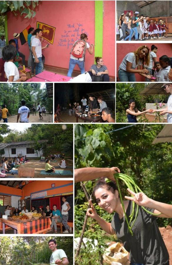 Spiritual Nature Farm - Sri Lanka Matale Εξωτερικό φωτογραφία