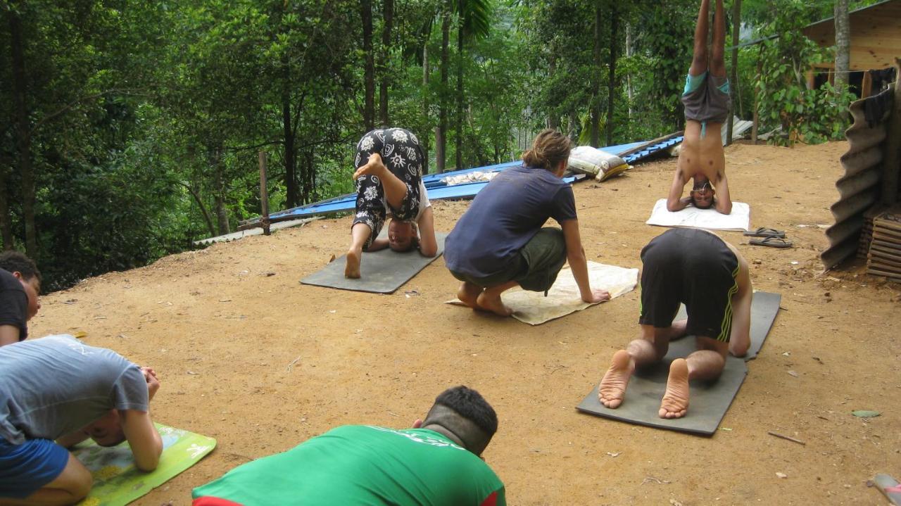 Spiritual Nature Farm - Sri Lanka Matale Εξωτερικό φωτογραφία
