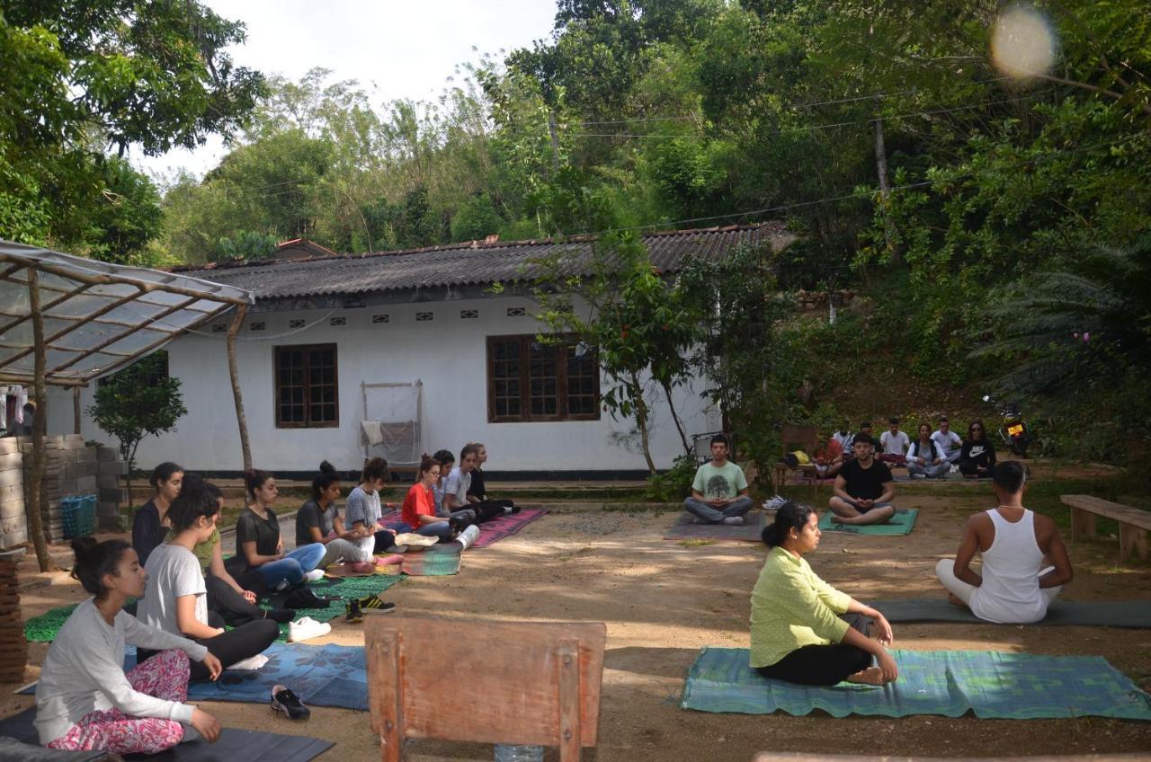 Spiritual Nature Farm - Sri Lanka Matale Εξωτερικό φωτογραφία