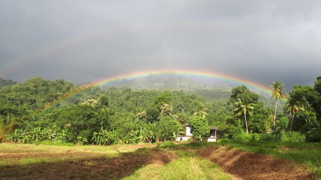 Spiritual Nature Farm - Sri Lanka Matale Εξωτερικό φωτογραφία