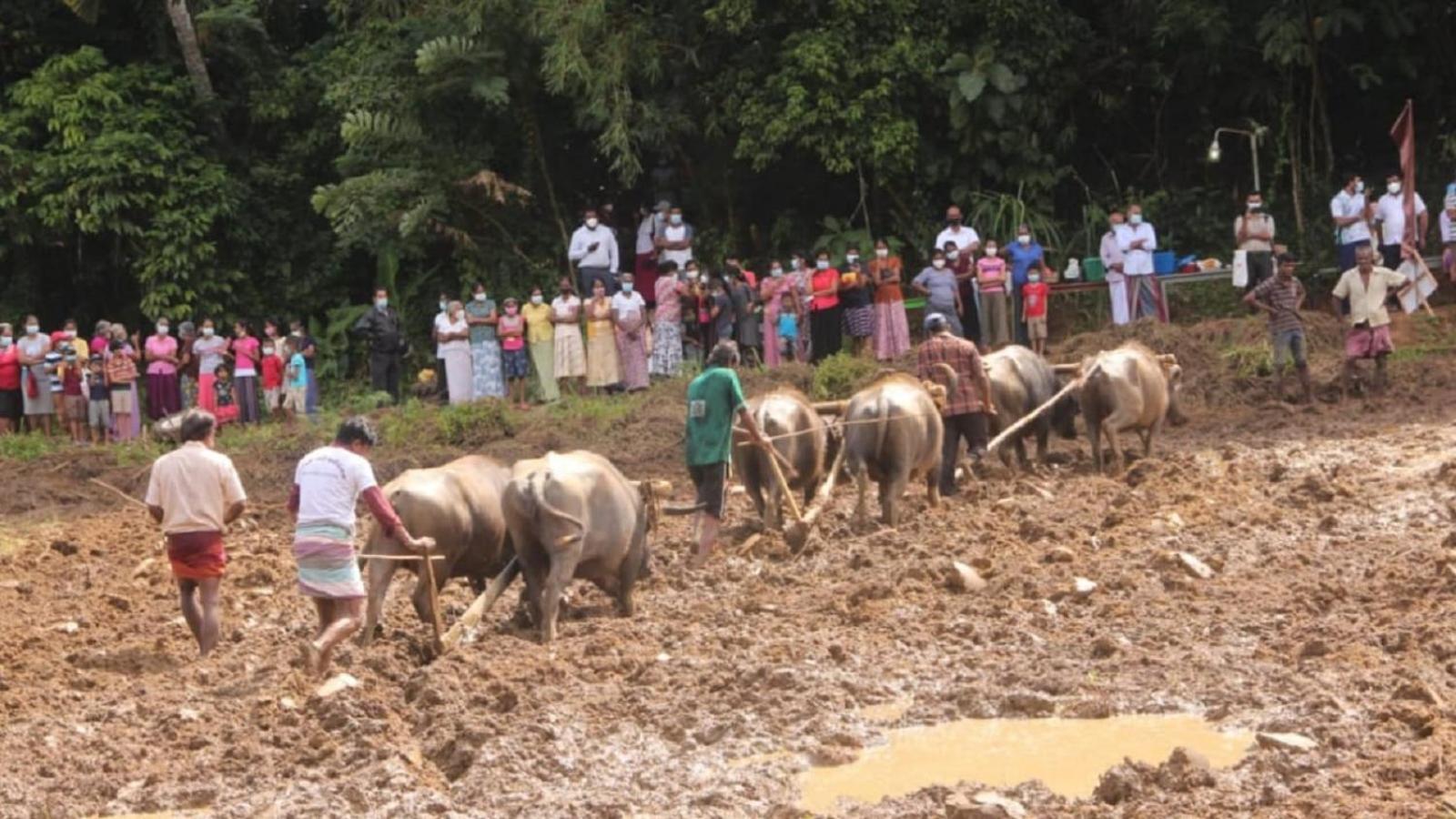 Spiritual Nature Farm - Sri Lanka Matale Εξωτερικό φωτογραφία